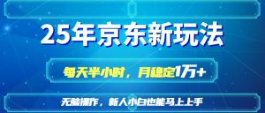 （14309期）25京东新玩法，每天半小时，月稳定1W+